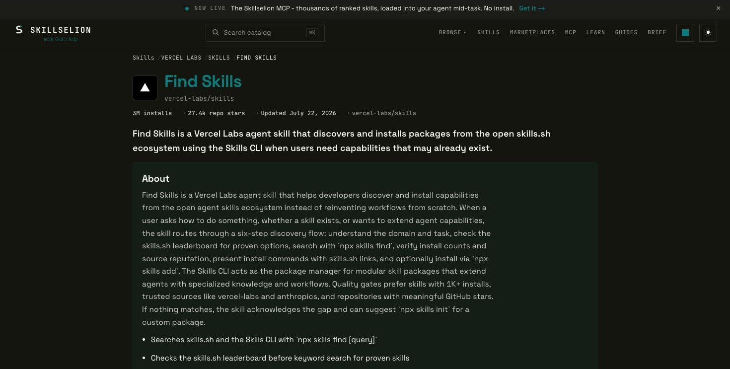 Skillselion detail page for the find-skills skill showing installs, stars and update date